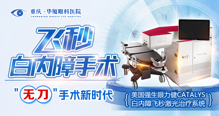 飞白手机端
