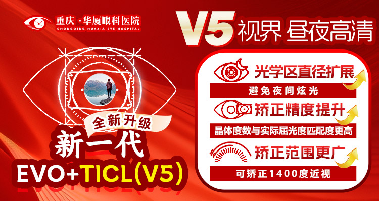 ICL V5手机端